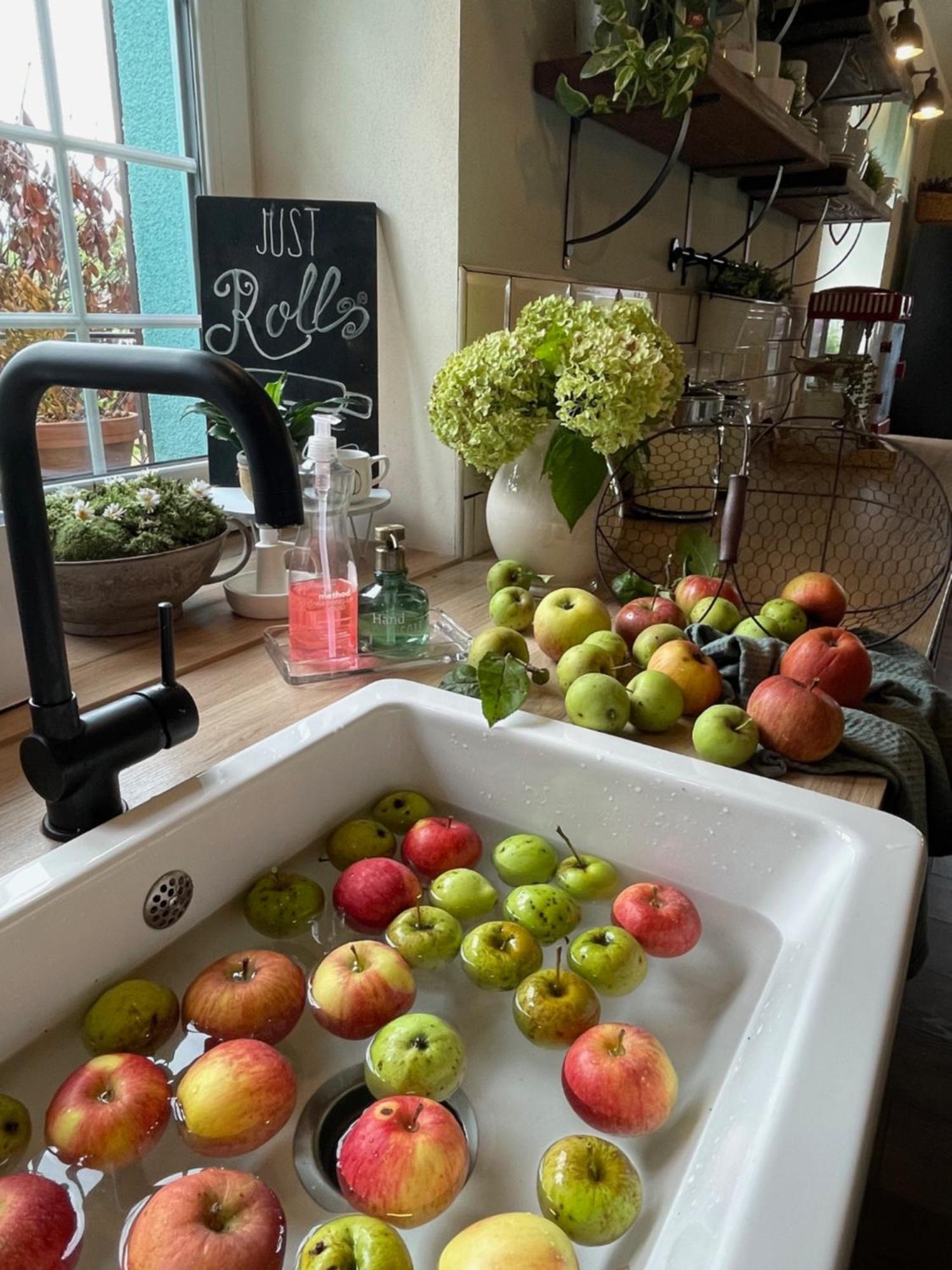 Chrast  Orchardhouse Farmhouse, Wellness מראה חיצוני תמונה