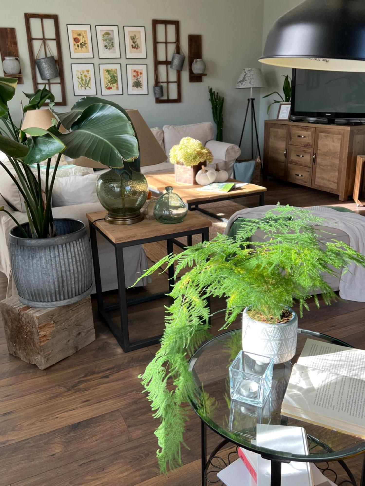Chrast  Orchardhouse Farmhouse, Wellness מראה חיצוני תמונה